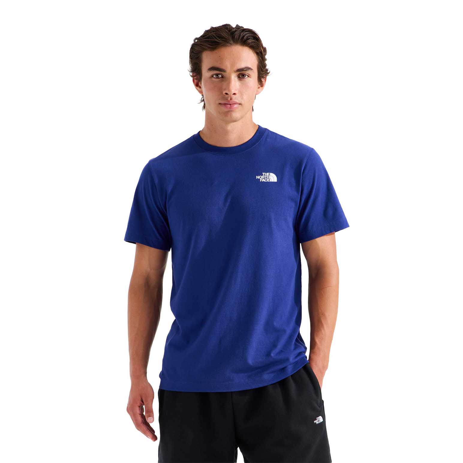 The North Face Men's Evolution Box Nse Regular Ss Tee